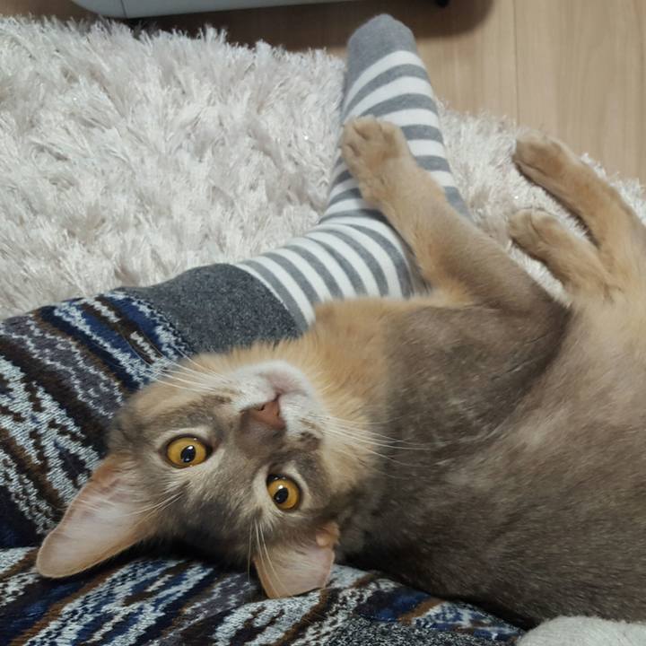 B892c3c4 bd1f 45e3 8a90 848ab73f9d9f 1521610514181