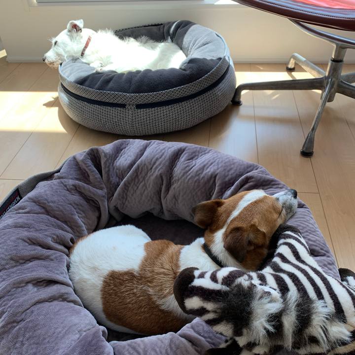 B892dea3 c133 47b6 8c36 b3b01c58de7f 1627443916655