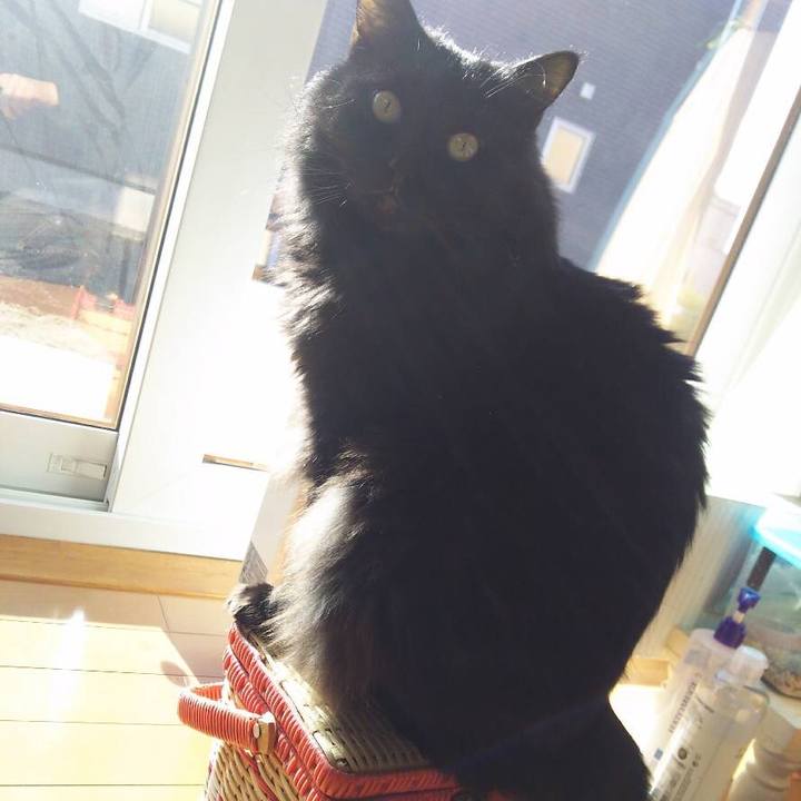 B8937faf 137c 4776 9419 0a11b725444b 1542430966551