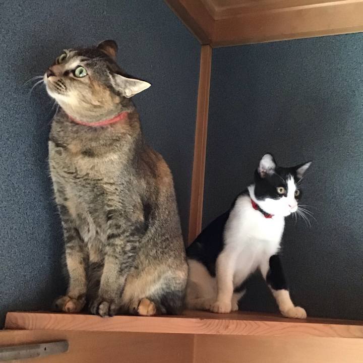 B893858f 2b22 46a3 af75 bcc450919325 1630024294244