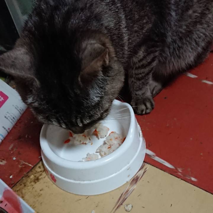 B893e586 156b 4155 a12e b95e4d7e4de4 1552688820573