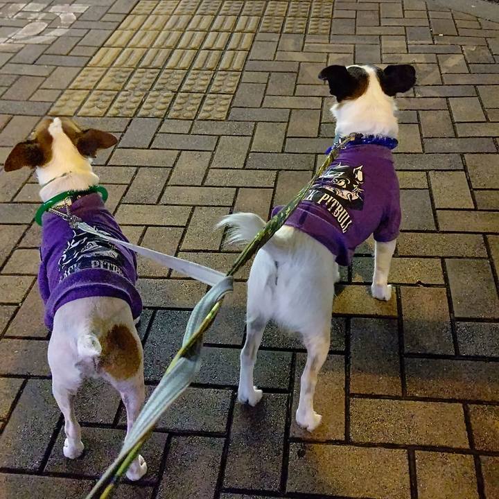 B893f1c5 4583 4a8e b1df 92e4985cba3d 1666606349385