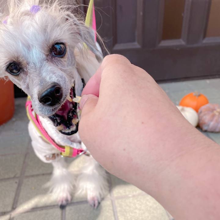 B89402d7 74bf 4288 8deb 5b66c2182ba6 1763100941432