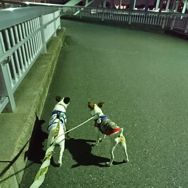 B89403c2 3610 4d98 85a5 5d3d286cd0a1 1529412341152