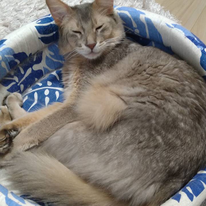 B89420d7 3a42 4c4a a1eb fdc53305ebef 1606395524396