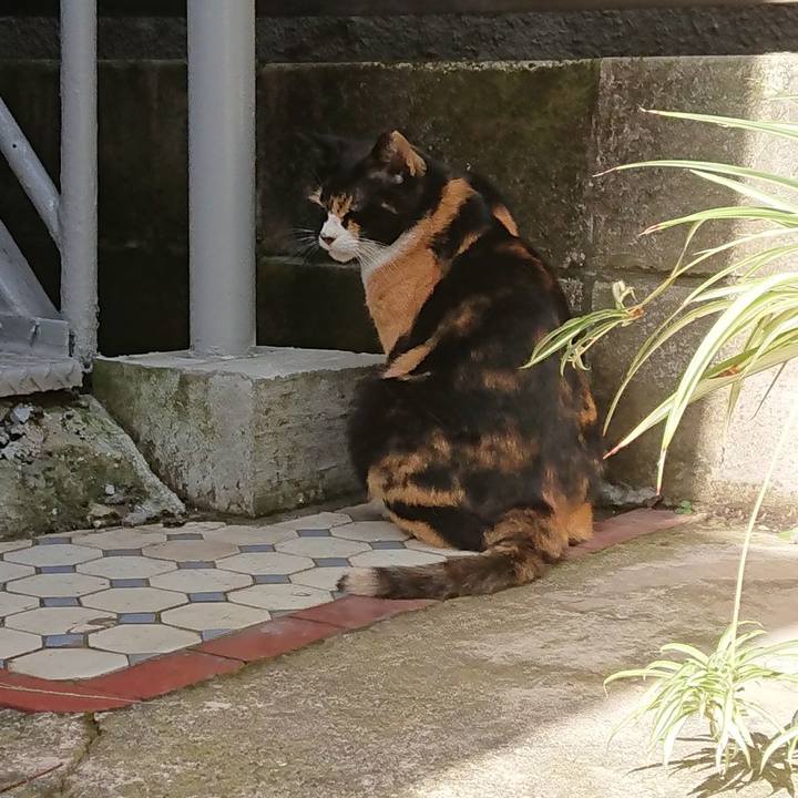 B8945dd1 1c3f 4158 8ac9 93fdbc9ff59f 1691625258568