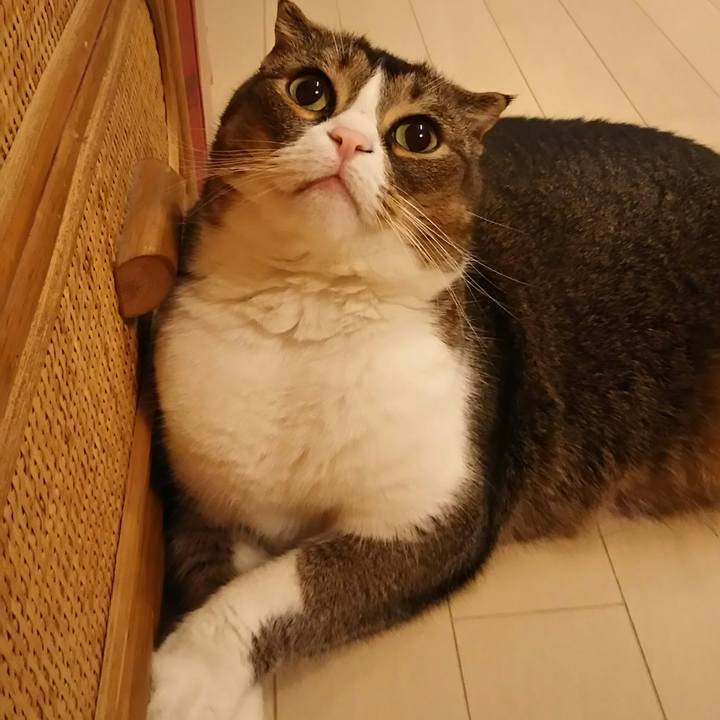 B8948770 c200 4e40 9cd0 68516515cea4 1528372921714