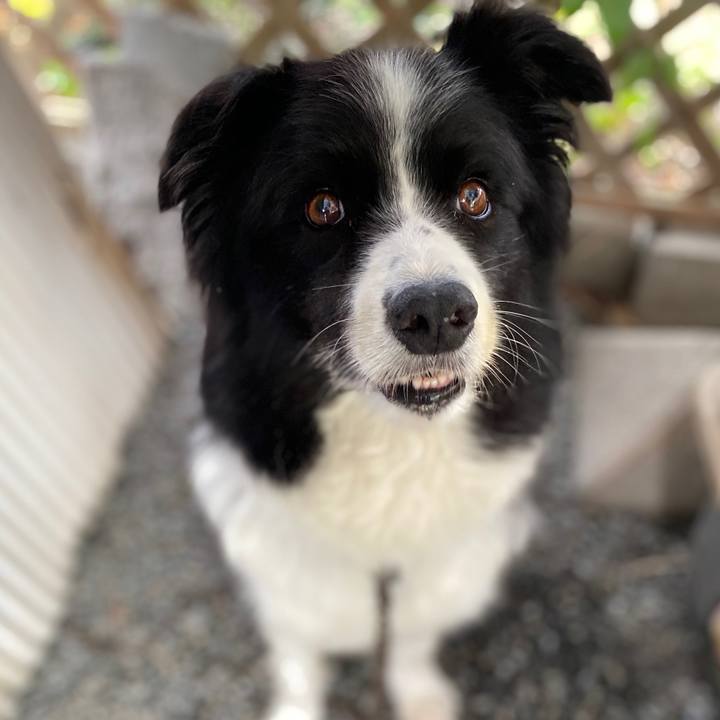 B89489cc b08e 4d04 a6d7 27479bdaadc0 1599179956897