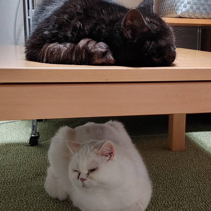 B894998e 663d 497d 8553 4ff16ff75618 1647616092897