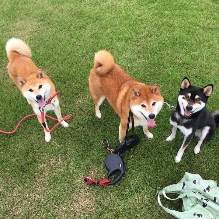 B894adad bfa0 4db0 be9d 8f16e3955285 1595745095585