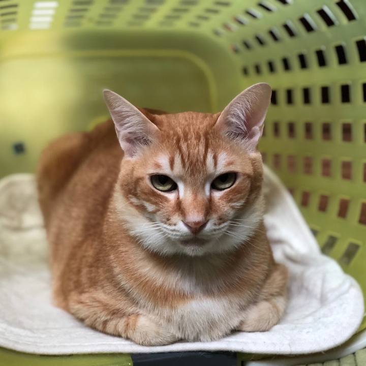 B894d2f8 9f5c 40a2 b47b 2bb2017e4afb 1548513522575