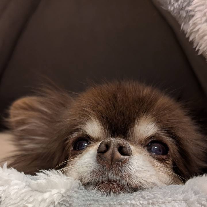 B894ee5a d39b 4b31 8ccb ca9e408a2eaa 1772840274890