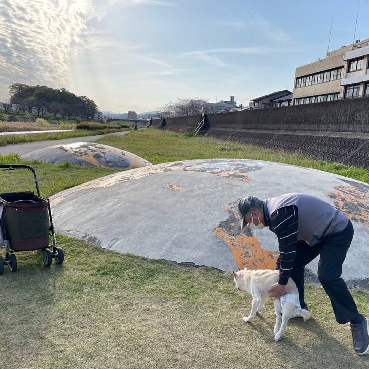 B89533a2 48c4 465d a67b 325eb8a944ab 1680409827865