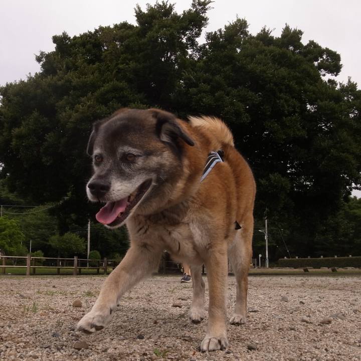 B8954f01 512f 47fd bc6a 614503c1092f 1609722122835