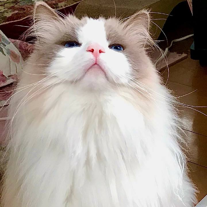 B895e81f 7694 4efc 9f05 4876b752d543 1616362736354