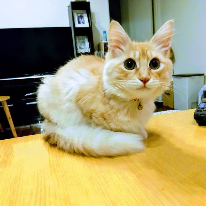 B895ee4f acb0 4841 9817 ac105bbfa509 1610667831656