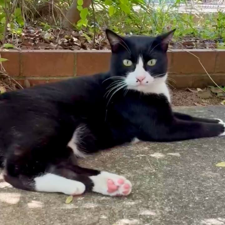 B895fbb0 a010 4672 ac96 9ae851cd6d3c 1760321415907