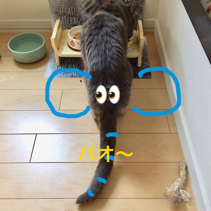 B896628b 6a48 45fd b1a5 7d94b26758ff 1534132204460