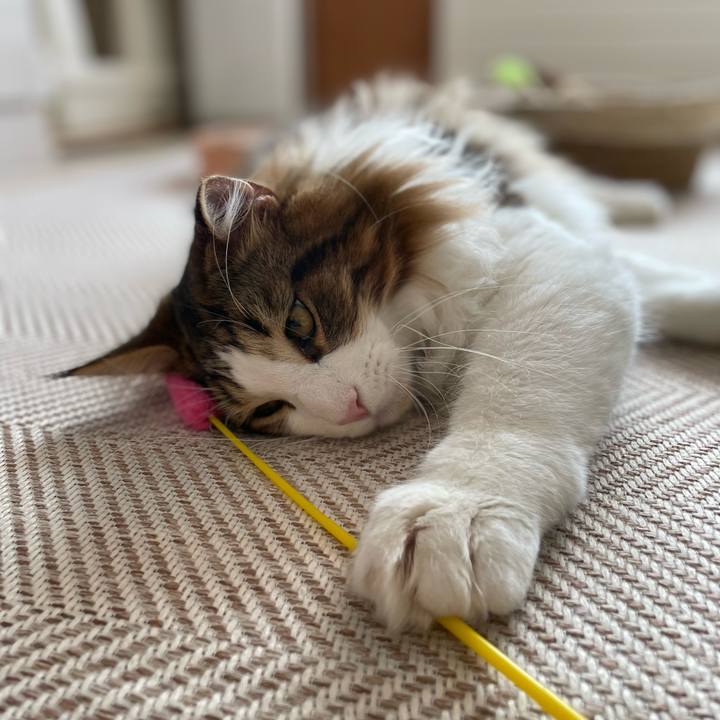 B89676bc 4059 4270 8534 d1107364e287 1644641587514