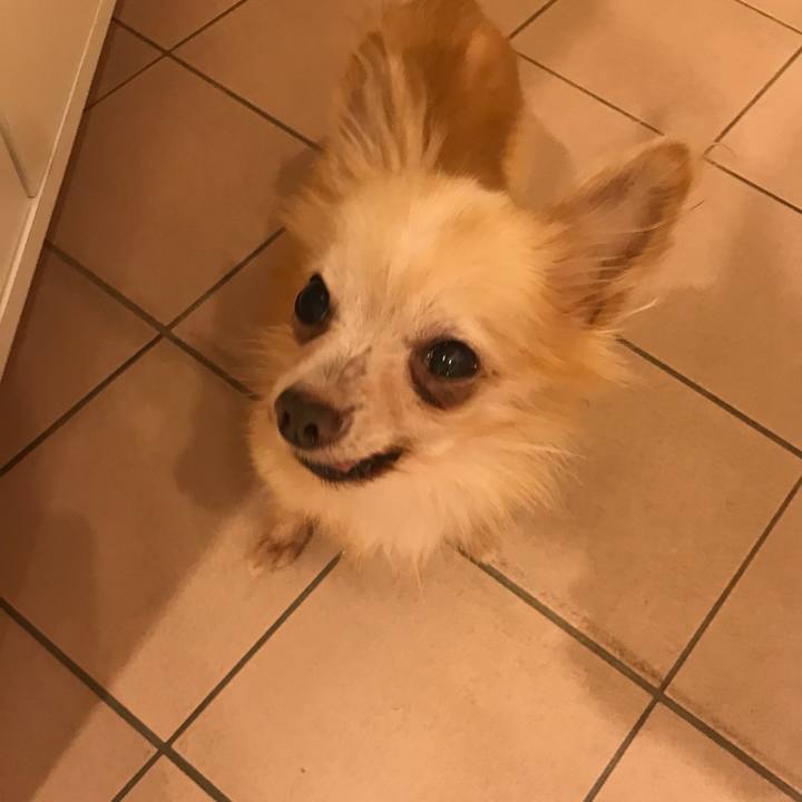 B89693f9 34ea 4175 bdb1 4ab8867e1e2c 1510018960598