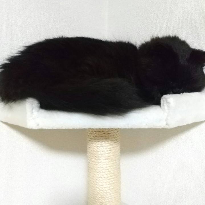 B896a0a5 6451 47bb 8084 8502260c817d 1685015032971