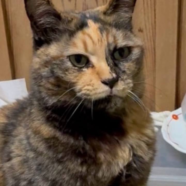 B896d020 7ac9 4d96 98ff 022a5c4c0f7e 1769113123197