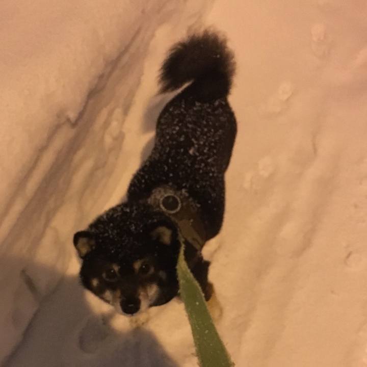 B896dfe1 9b38 49bb abca 08b54ef2772a 1516150293825