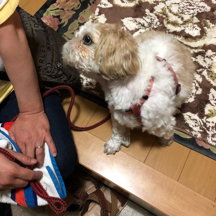 B896ebfc 1dc4 4248 bb2b 04fdf6090a6b 1535060891205