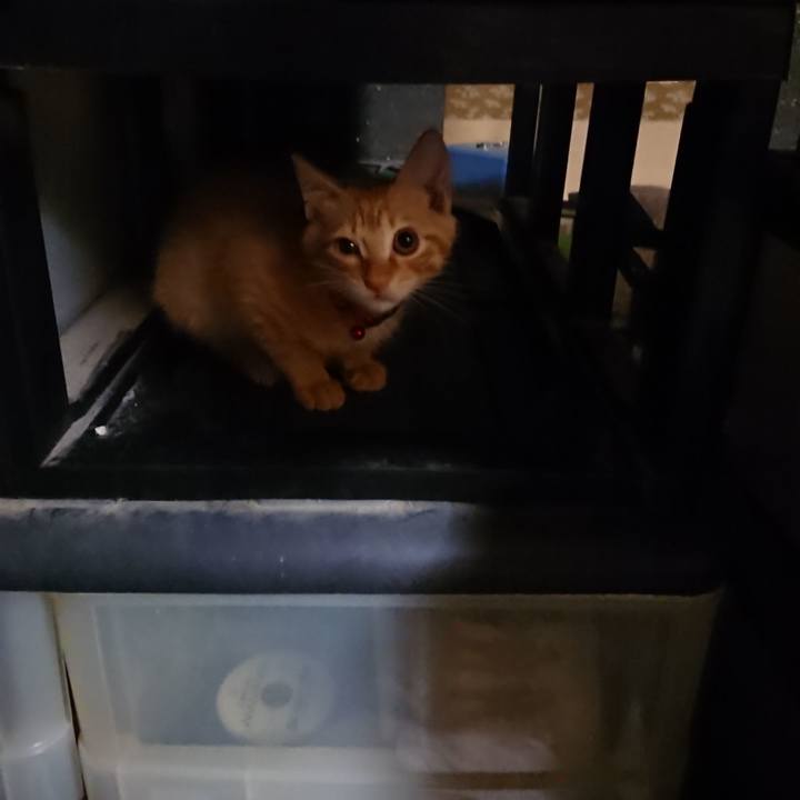 B896edc1 5b5b 4ef6 8d34 6b1bd311f307 1631622647559