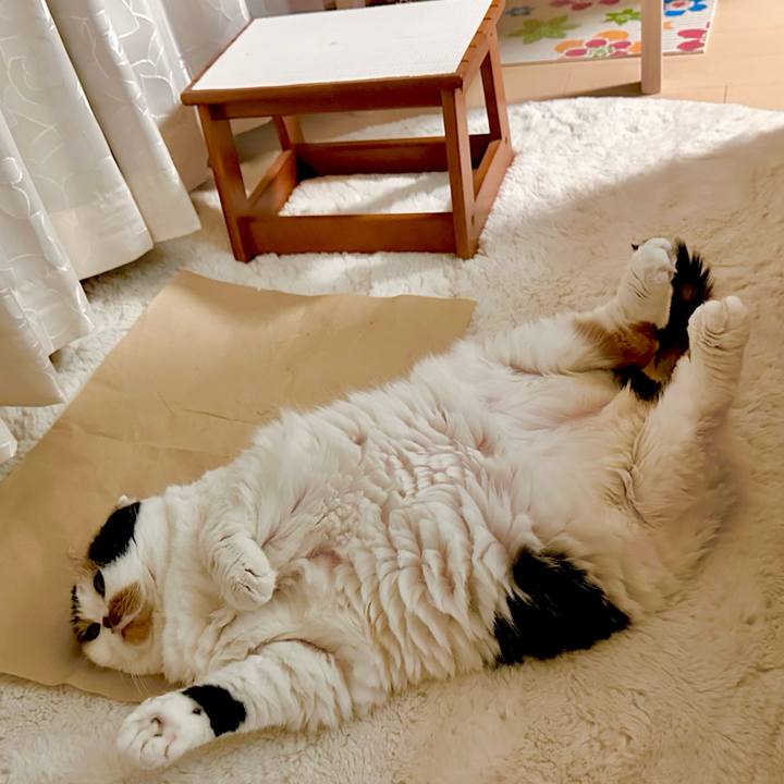 B896f358 b3f3 4338 b571 99623b4405e5 1699396086775