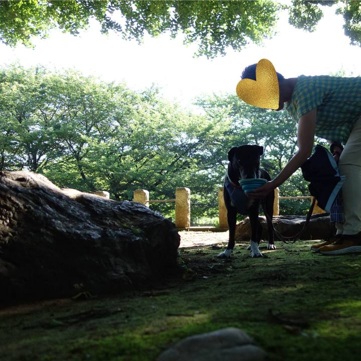 B896fb77 6604 43c6 8c6e a0f6e84bd607 1750552125567