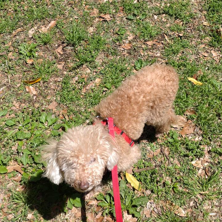 B897133c dd70 4912 9ee2 d22be4dea504 1651297353165