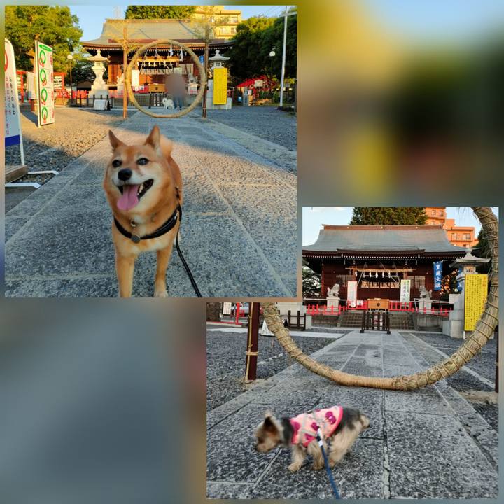 B89714a0 1f61 4616 bf2f 5d093f997725 1656508920605