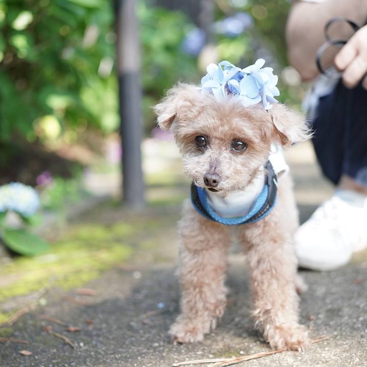 B89739fe c4eb 4eeb b991 fd8255f06c8c 1697254588358