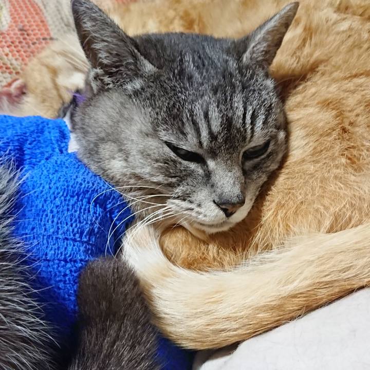 B8974233 c1a1 4d78 b865 b754f3e2e9a4 1586780140363