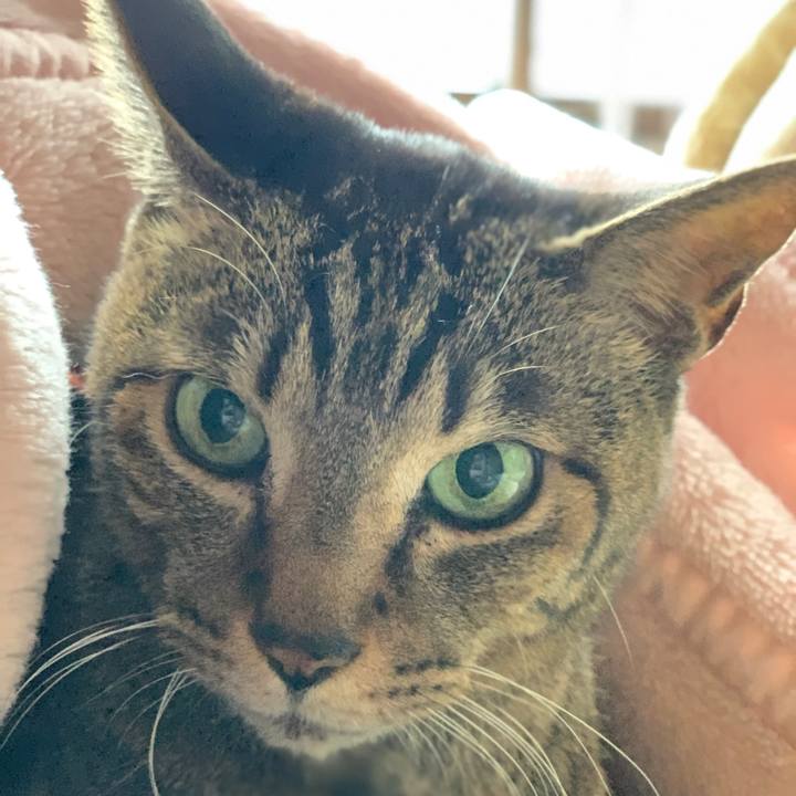 B897d8c1 dd0d 488b 83a0 120a08bc9278 1584234716183