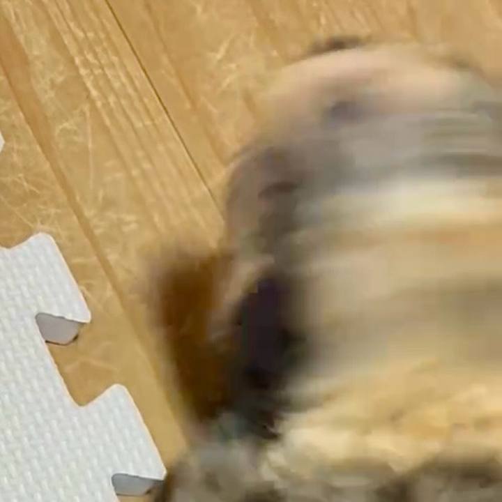 B897ecc8 61b9 4e1c b422 85d24c52e021 1751401484940