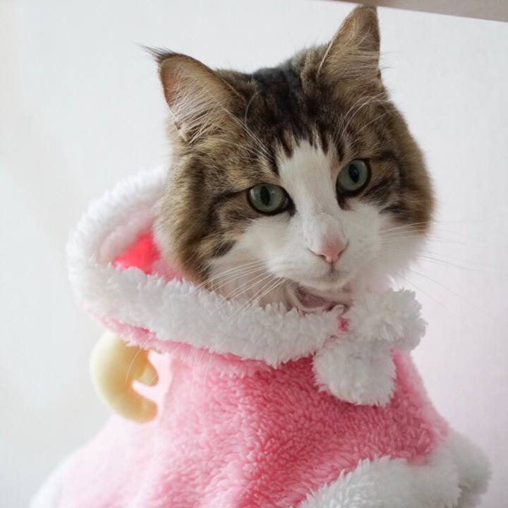 B897f5c0 b5c3 42eb 9331 22f749cf715e 1577175948806