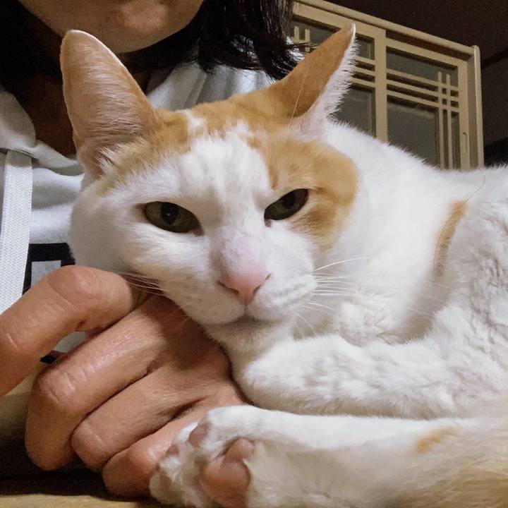 B897f866 87b7 4995 aa3d ba9af09091f8 1583120484154