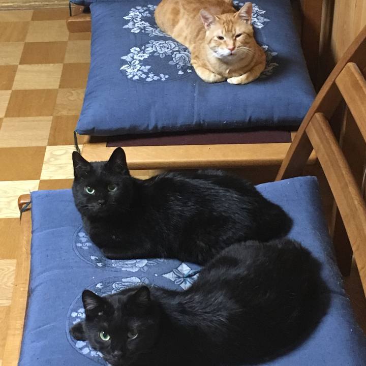 B89805f6 01da 4952 9cf6 7504650ada4b 1532353434962