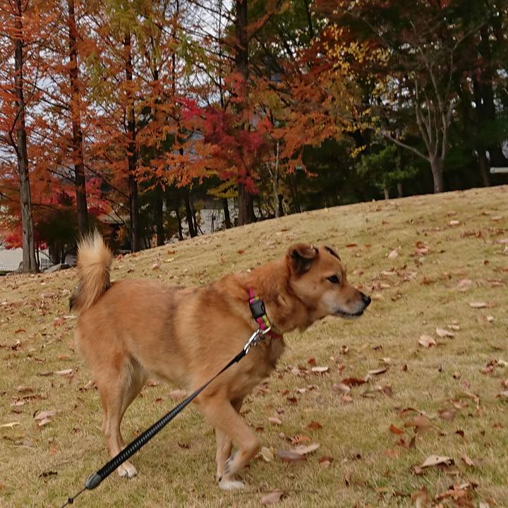 B8980824 c5b6 46ff 8b53 3112d71d67f4 1604754685677