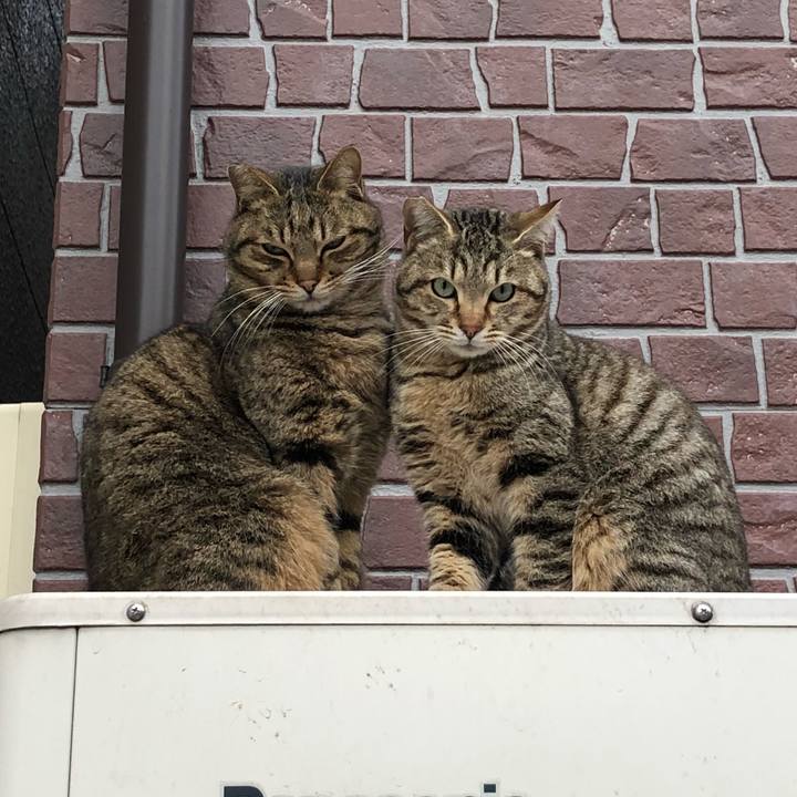 B898296c 1180 40e0 83a7 1bd656865265 1518253858267