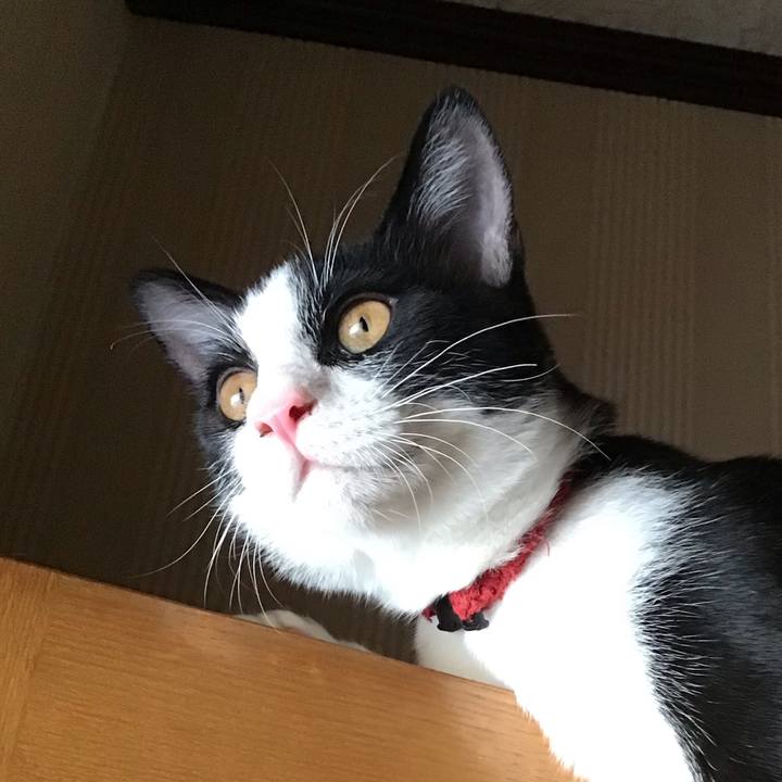 B8984362 c342 48ce 9bc2 ef52dfe835a5 1632546885968