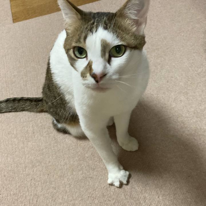 B898714c be99 4dab 9211 fc1e62bb2402 1642668530829