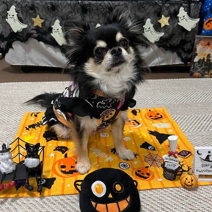 B8987f4c dbc4 4674 8cd7 6ee041ffd80c 1667163100690