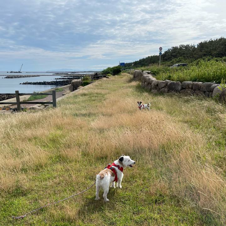 B8989d56 ec70 4d9f 918e 4b5be175826c 1656376724421