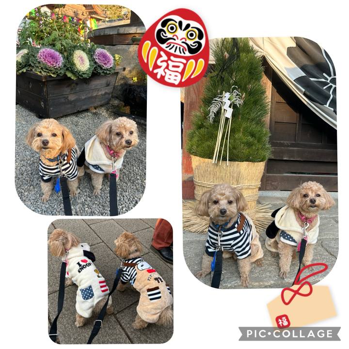 B898b255 0c82 4c59 8d1e 49e41dc07e13 1736071515345