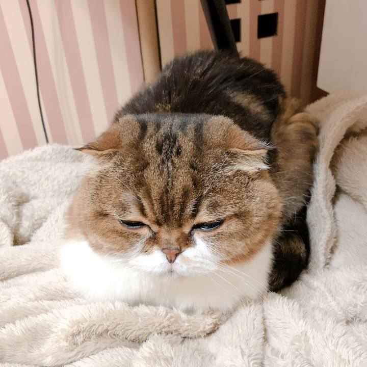 B898cdb0 cf49 482d b92d 1904f6466c29 1585836116872