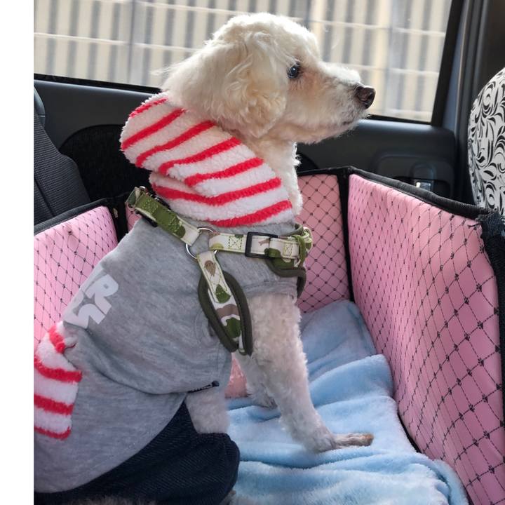 B898d254 ecb9 4147 b292 7b9447d45af1 1553405055665