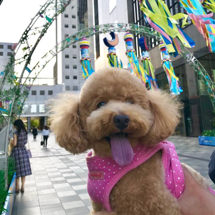 B898dfe9 1b1c 4624 a457 9b78a9eca0aa 1528019008093